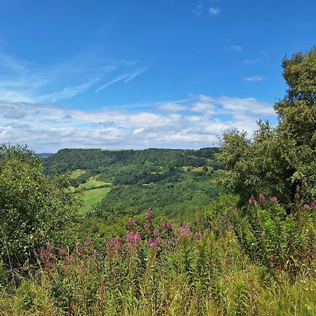 度假居 Librarian's *